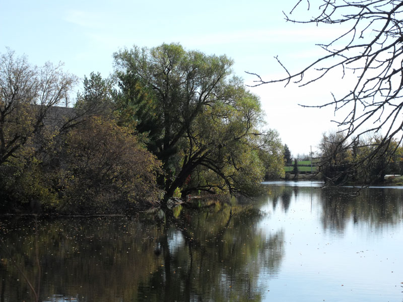 Willow Tree over the Mississippi River, Appleton, Ontario