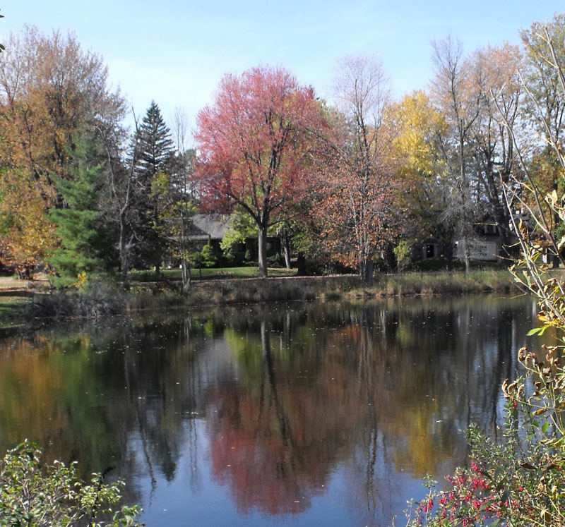Autumn colours on the Mississippi River, Appleton, Ontario