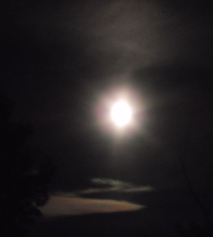 Silver September moon