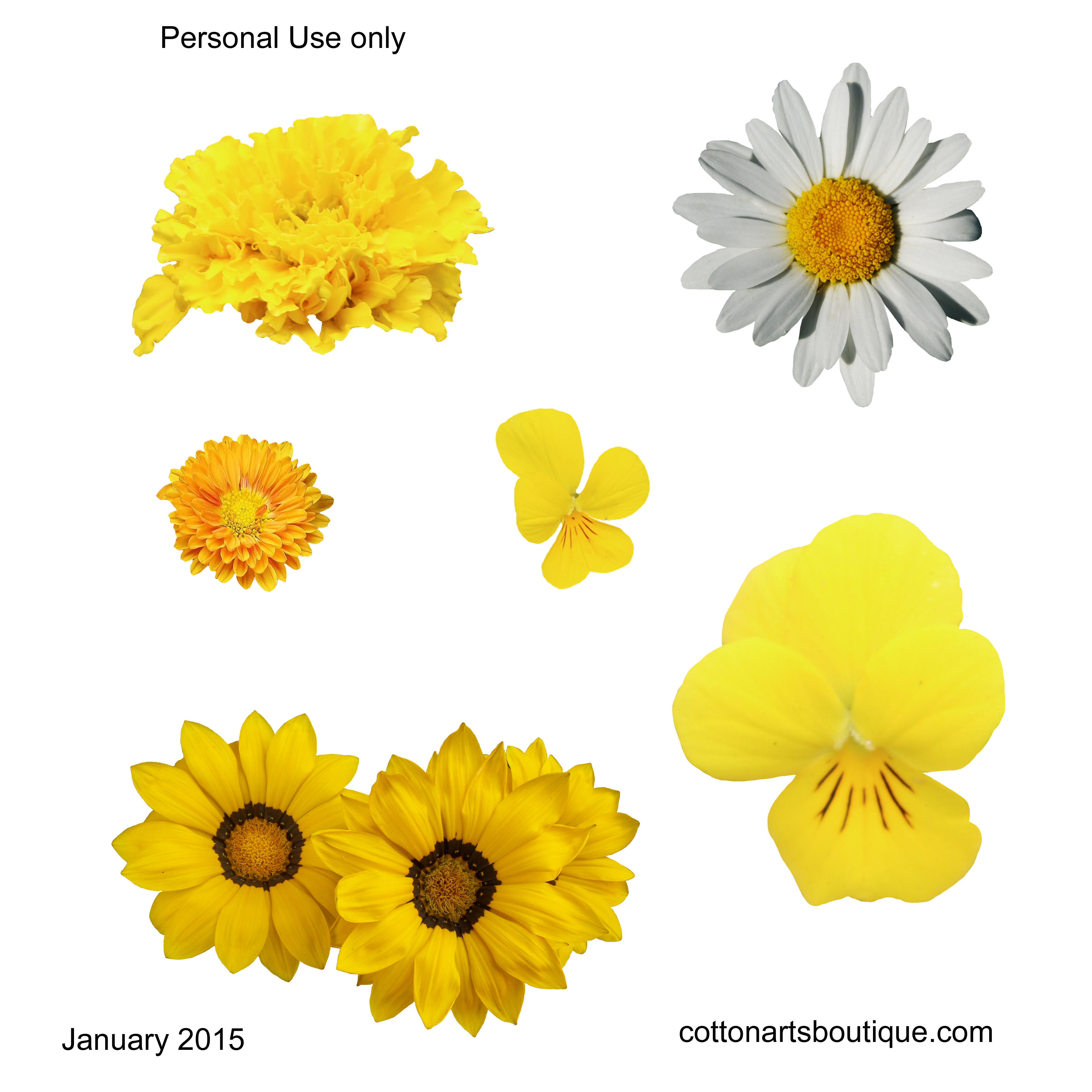 http://cottonartsboutique.com/wordpress/wp-content/uploads/2015/01/flowers-yellow-cottonartsboutique-2015.png
