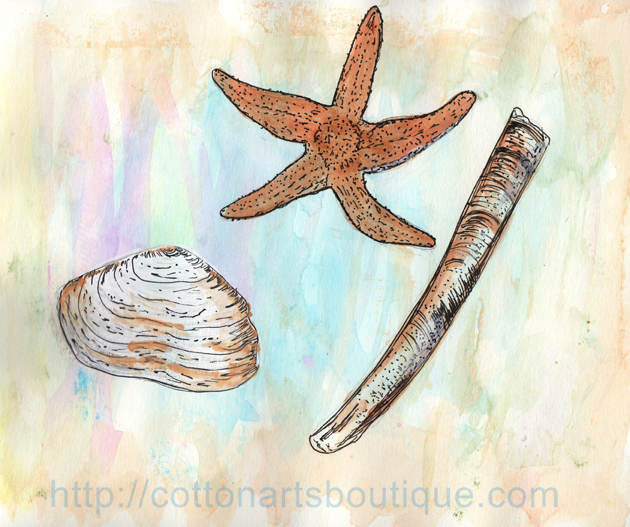Field Journaling Life Book 2015 Shells