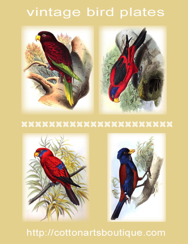 http://cottonartsboutique.com/wordpress/wp-content/uploads/2015/05/Vintage-bird-plates-SC-2015-1.jpg
