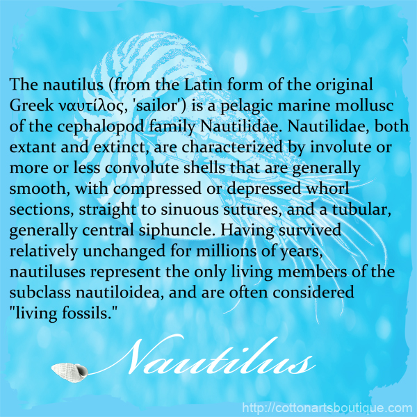 N-nautilus